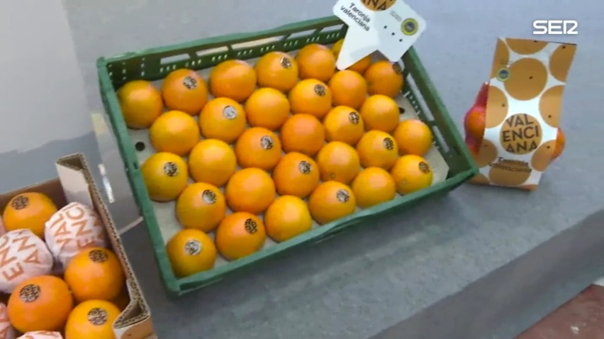 'Naranja Valenciana', la marca que busca "el renacimiento" de los cítricos valencianos