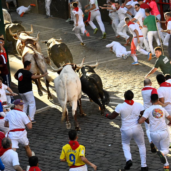 Portada de San Fermín