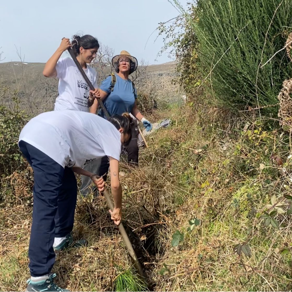 Imagen de Sembrar agua para acabar con la sequía