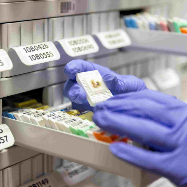 cover of episode La Ciencia | Una colección de tumores vivos para investigar el cáncer