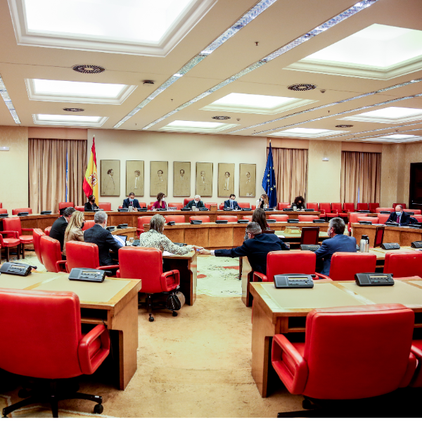 cover of episode Corresponsales | El día a día de un letrado en el Congreso de los Diputados
