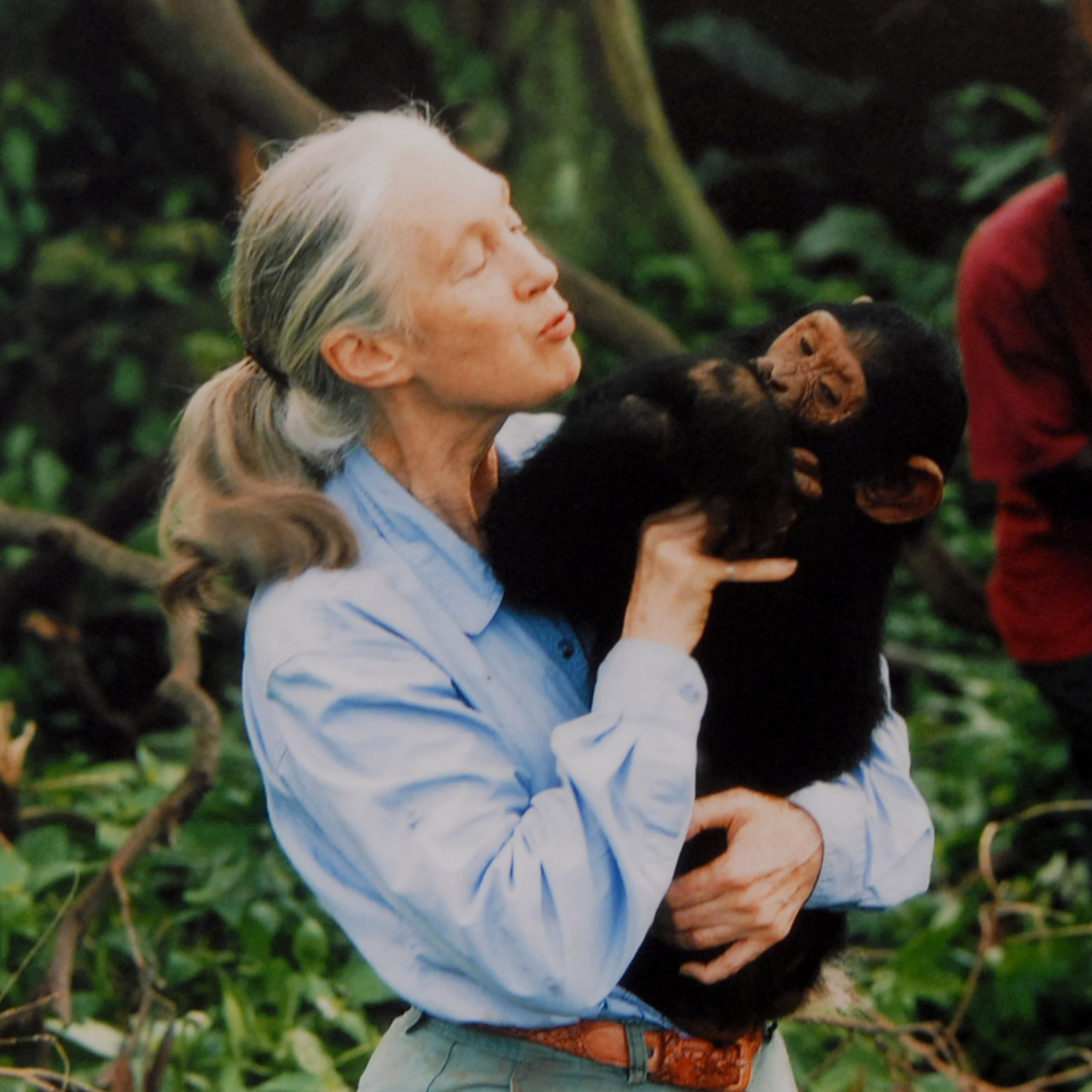 Imagen de Jane Goodall, una sapiens en la que confiar. Entrevista a Federico Bogdanowicz, director del Instituto Jane Goodall en España y Senegal