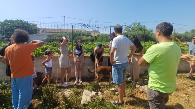 Imagen de De Cuenca a Portugal e Italia: pequeños proyectos que buscan grandes cambios