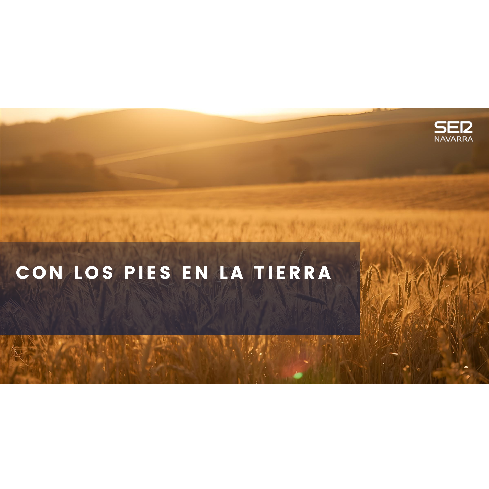 Con los pies en la tierra: la modernización de los regadíos en Navarra