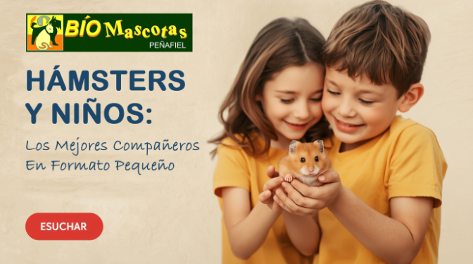 Imagen de Los hámster, la mejor mascota para niños