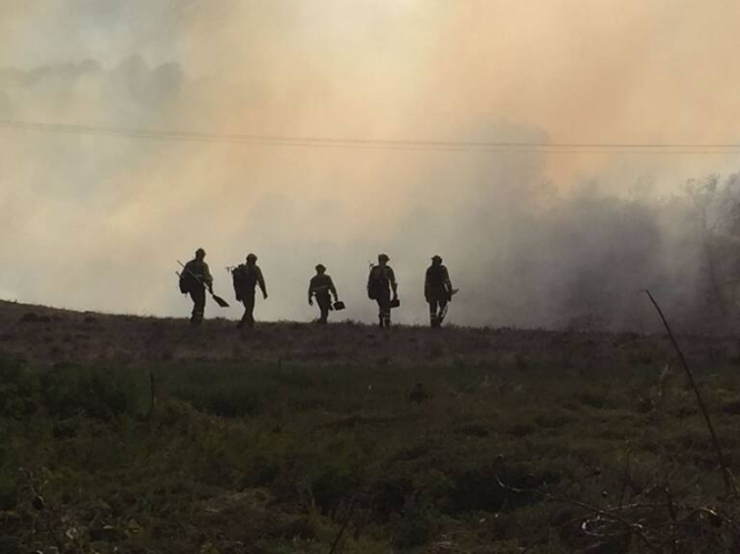 El dispositivo antiincendios, un ejército necesario