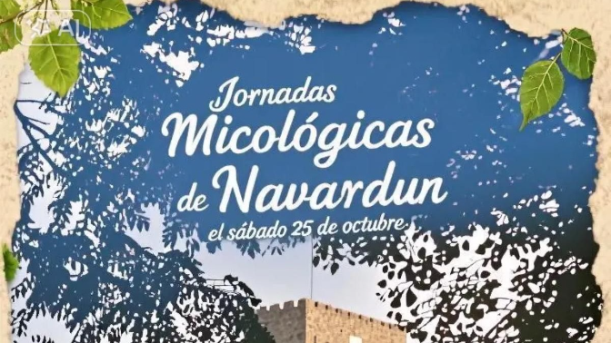 Imagen de Navardún inaugura mañana las jornadas micológicas de las Cinco Villas
