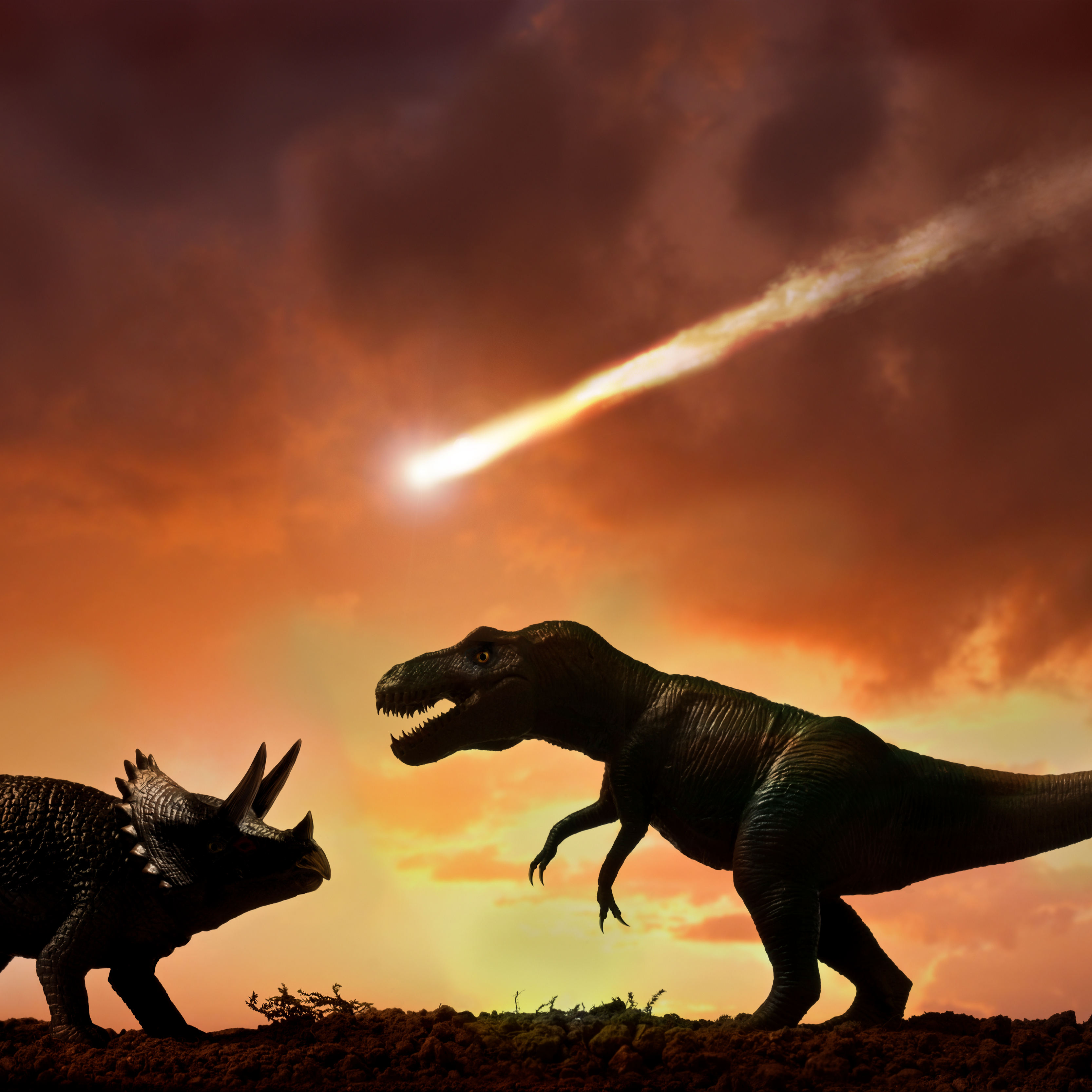 Un estudio desmonta una de las teorías principales sobre la extinción de los dinosaurios: no fue como pensábamos