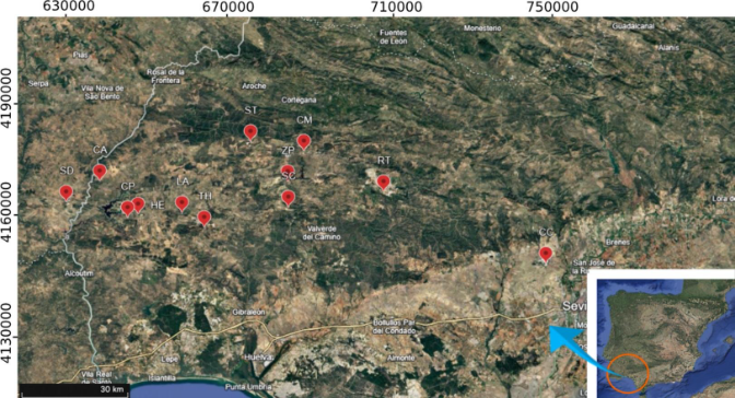 Juan Antonio Ramírez - Tierras raras -