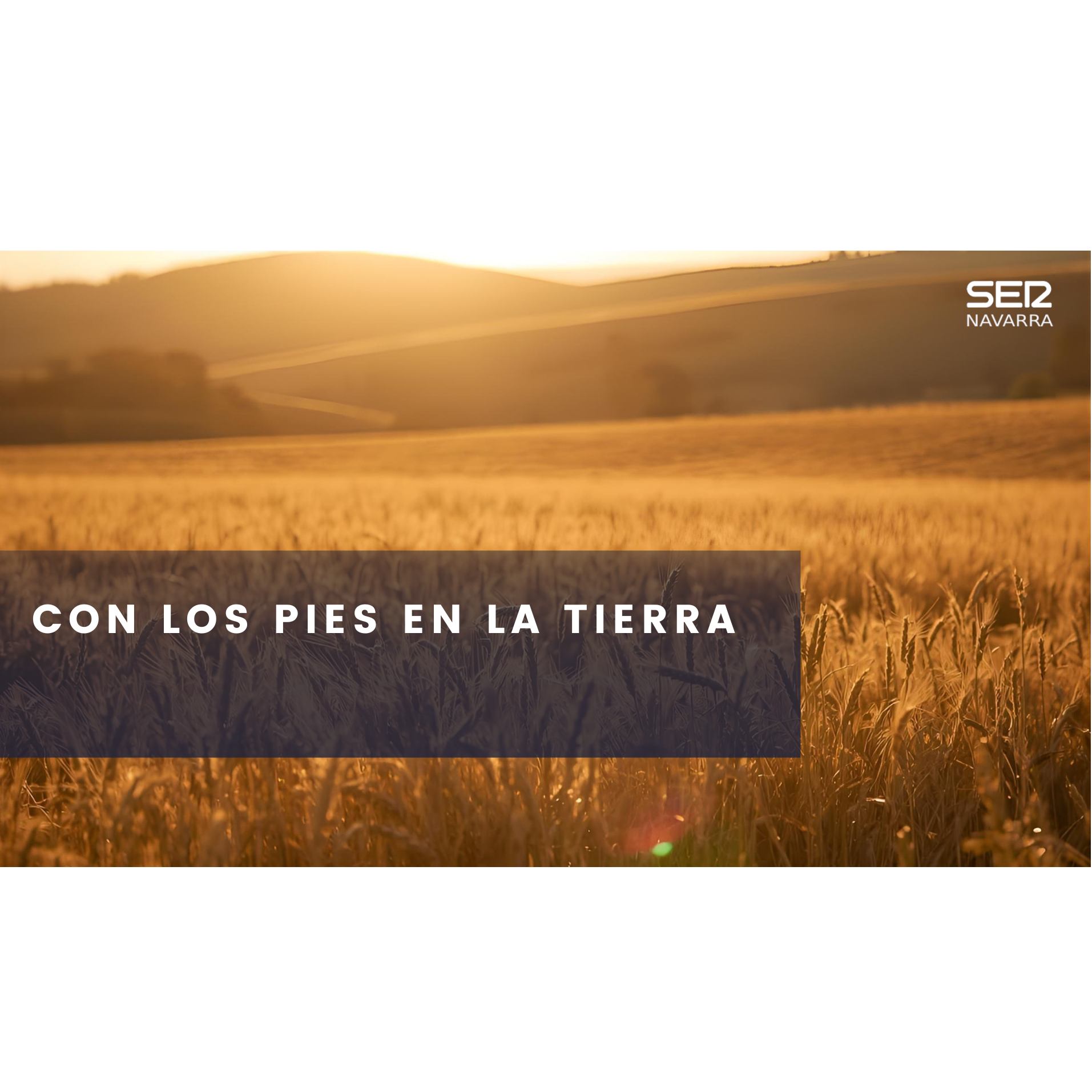 Con los pies en la tierra: el cambio climático en la agricultura Con los pies en la tierra: el cambio climático en la agricultura
