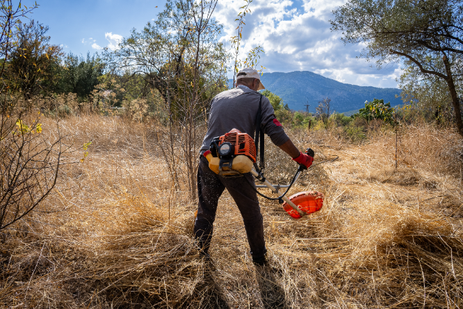 Desbrozar el monte, mucho más sencillo de lo que dicen los bulos