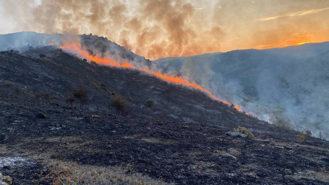 "En La Rioja no tenemos los recursos suficientes para afrontar fuegos tan virulentos como los de León"