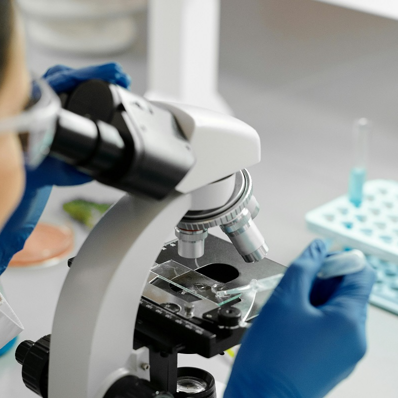 La Ventana de la empresa navarra: Telum Therapeutics y su lucha ante la resistencia a los antibióticos La Ventana de la empresa navarra: Telum Therapeutics y su lucha ante la resistencia a los antibióticos