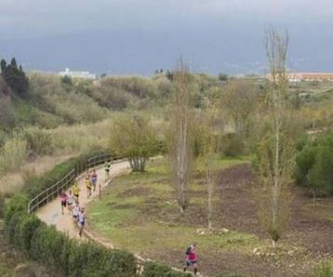 A exposición pública el Plan Especial de "l'Anella Verda" de Gandia