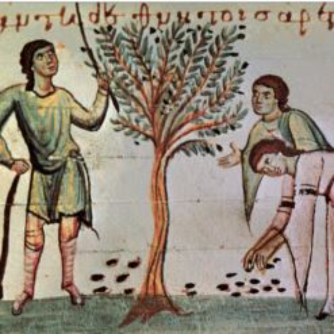 Liberalización del mercado de producción de aceitunas en la Vila de Gandia medieval Liberalización del mercado de producción de aceitunas en la Vila de Gandia medieval