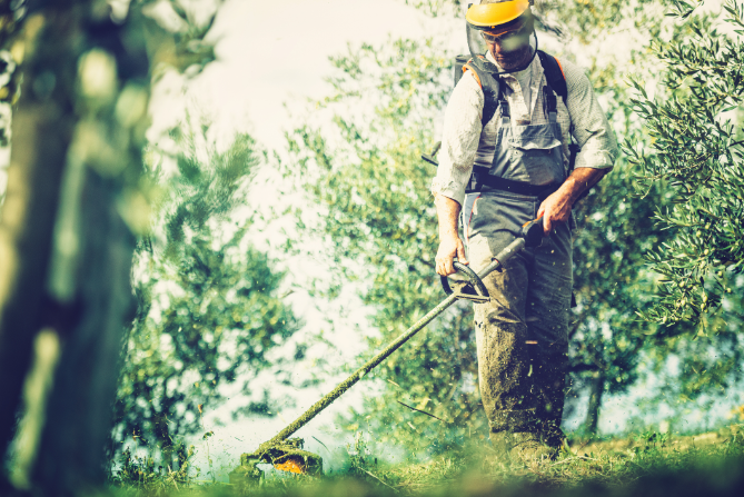 Sí, se puede desbrozar el monte