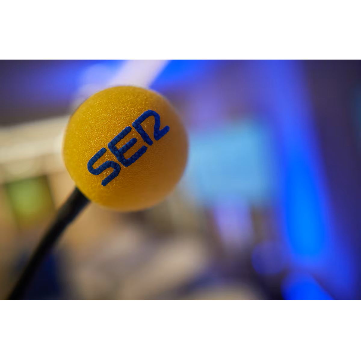 Drogas, cerebro y sociedad