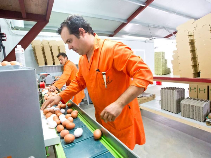 Carlos Conte, Corral de Monegros Carlos Conte, Corral de Monegros