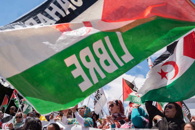 La Delegación saharaui en La Rioja se suma a la protesta por los 50 años de ocupación militar en el Sáhara Occidental (15-11-2025)