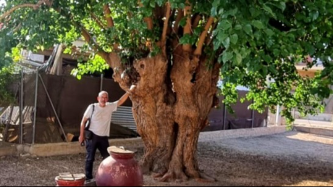 Alfredo José Norte, director de la candidatura Alfredo José Norte, director de la candidatura