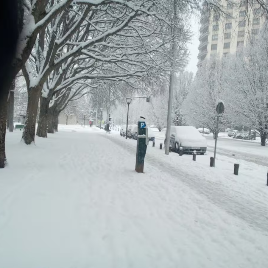 Llega la nieve a Navarra