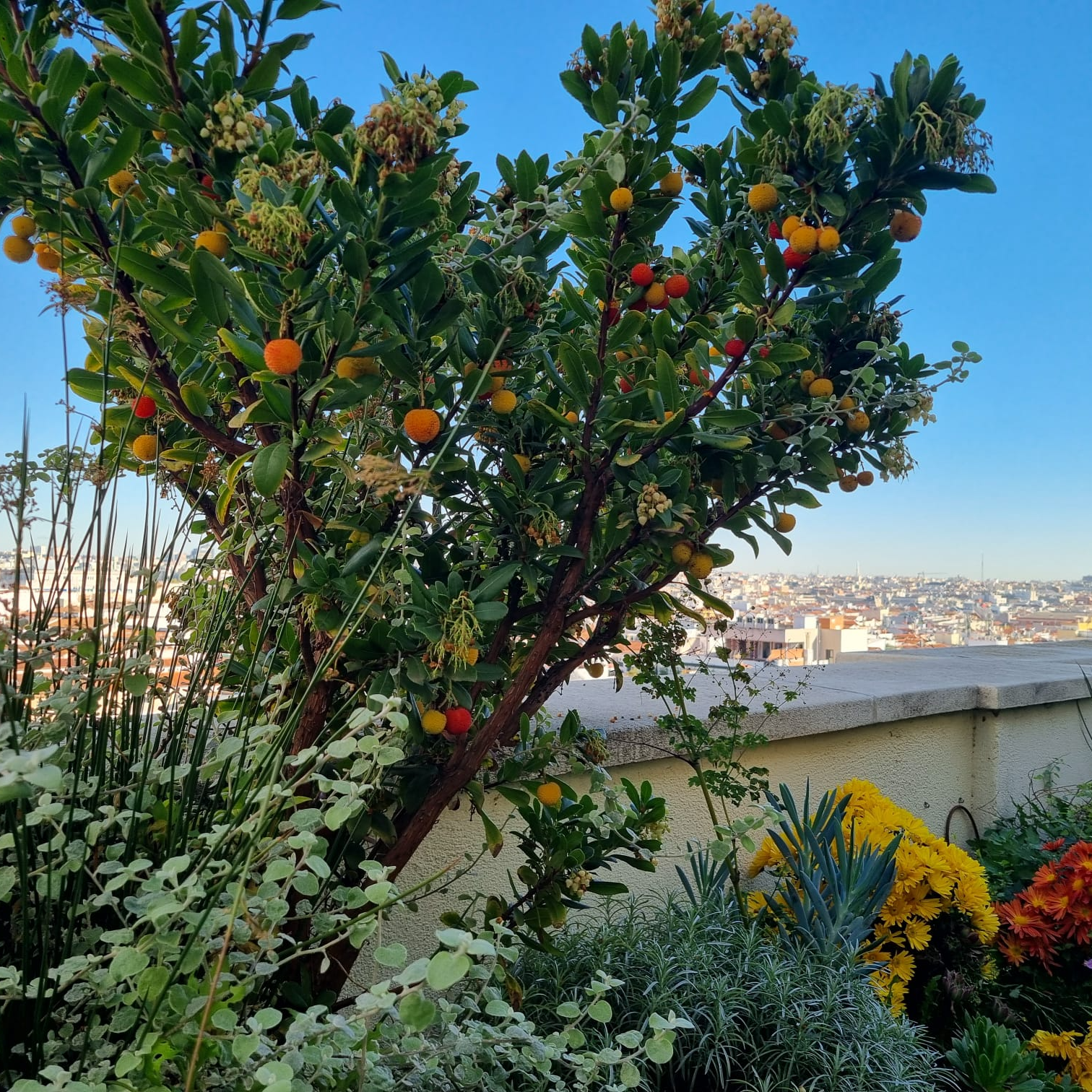 Imagen de Factores geográficos y climatológicos que determinan la diferencia de cultivos en España