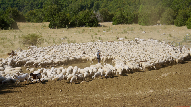 La Ventana de Aragón inicia un espacio dedicado a hablar del proyecto "Beep"