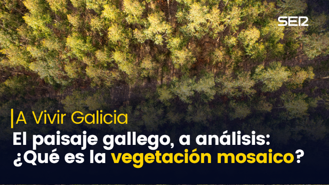 El paisaje gallego, a análisis: ¿qué es la vegetación mosaico?