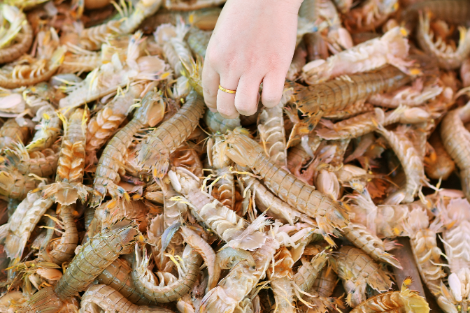 Dijous paella, amb Josep Lluís Penadès: la cuina mediterrània