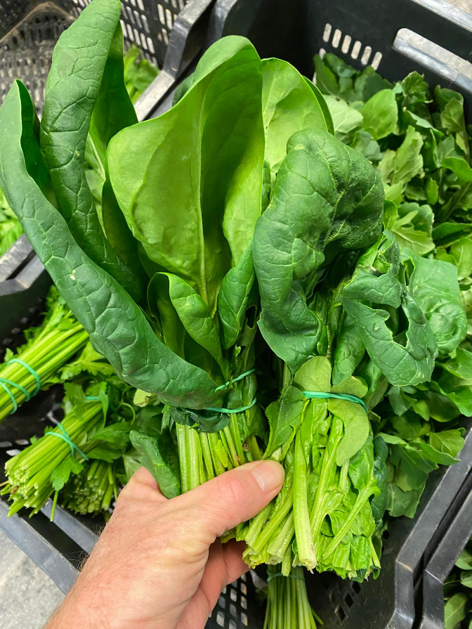 Alimentación ecológica, menos tóxicos… y unas espinacas a la crema para rematar esta semana con Cristóbal Hevilla