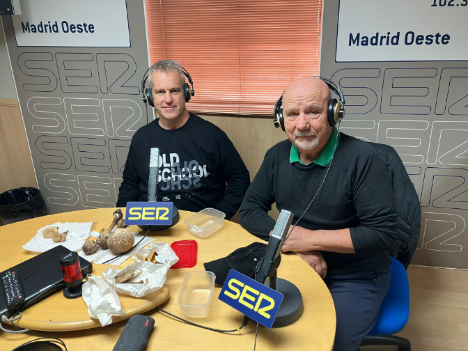 Móstoles celebra las XXXII Jornadas Micológicas con exposición, conferencias y concursos sobre el mundo de las setas Móstoles celebra las XXXII Jornadas Micológicas con exposición, conferencias y concursos sobre el mundo de las setas