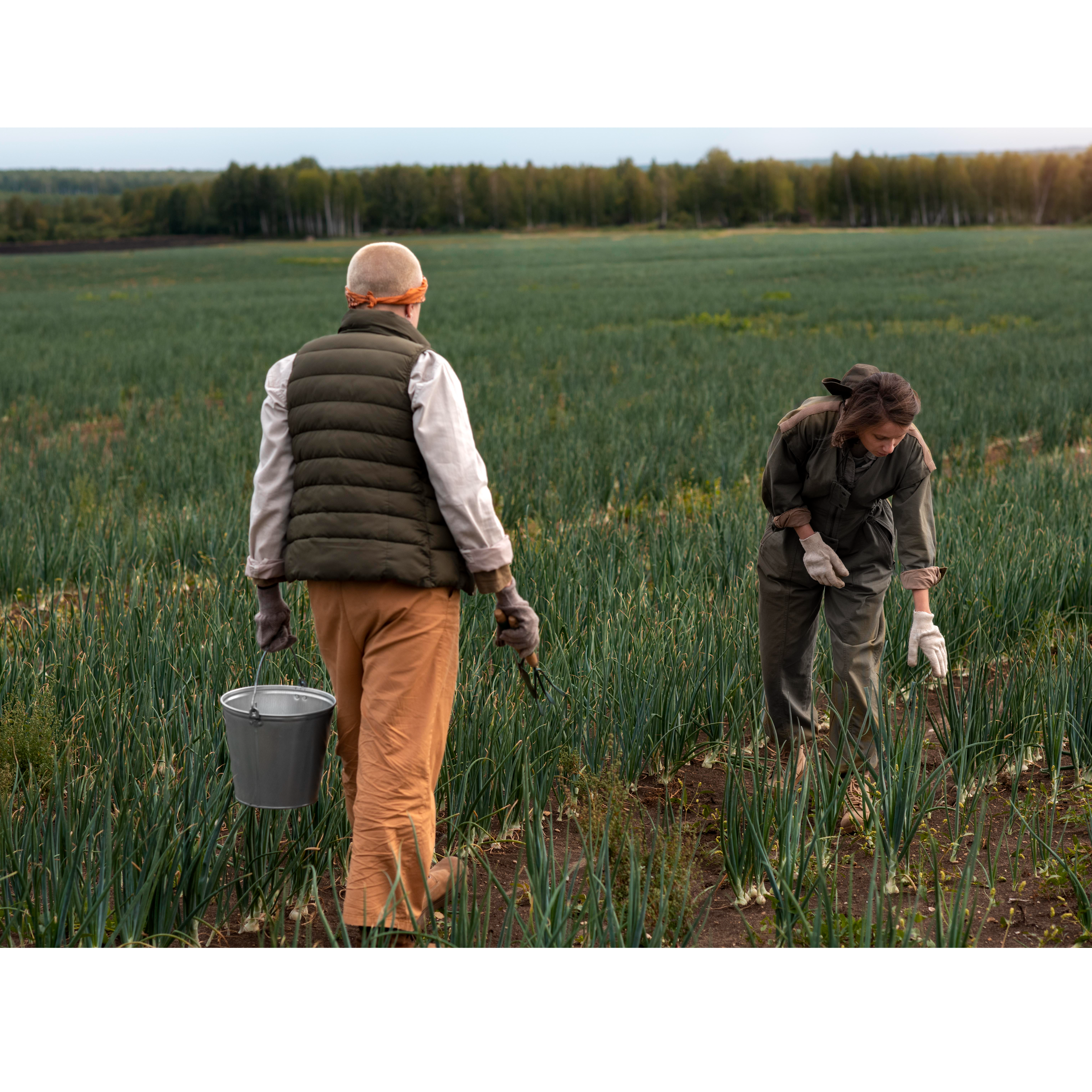 Entrevista a Ramón Lacalzada: la precariedad de los jornaleros por campaña en Navarra
