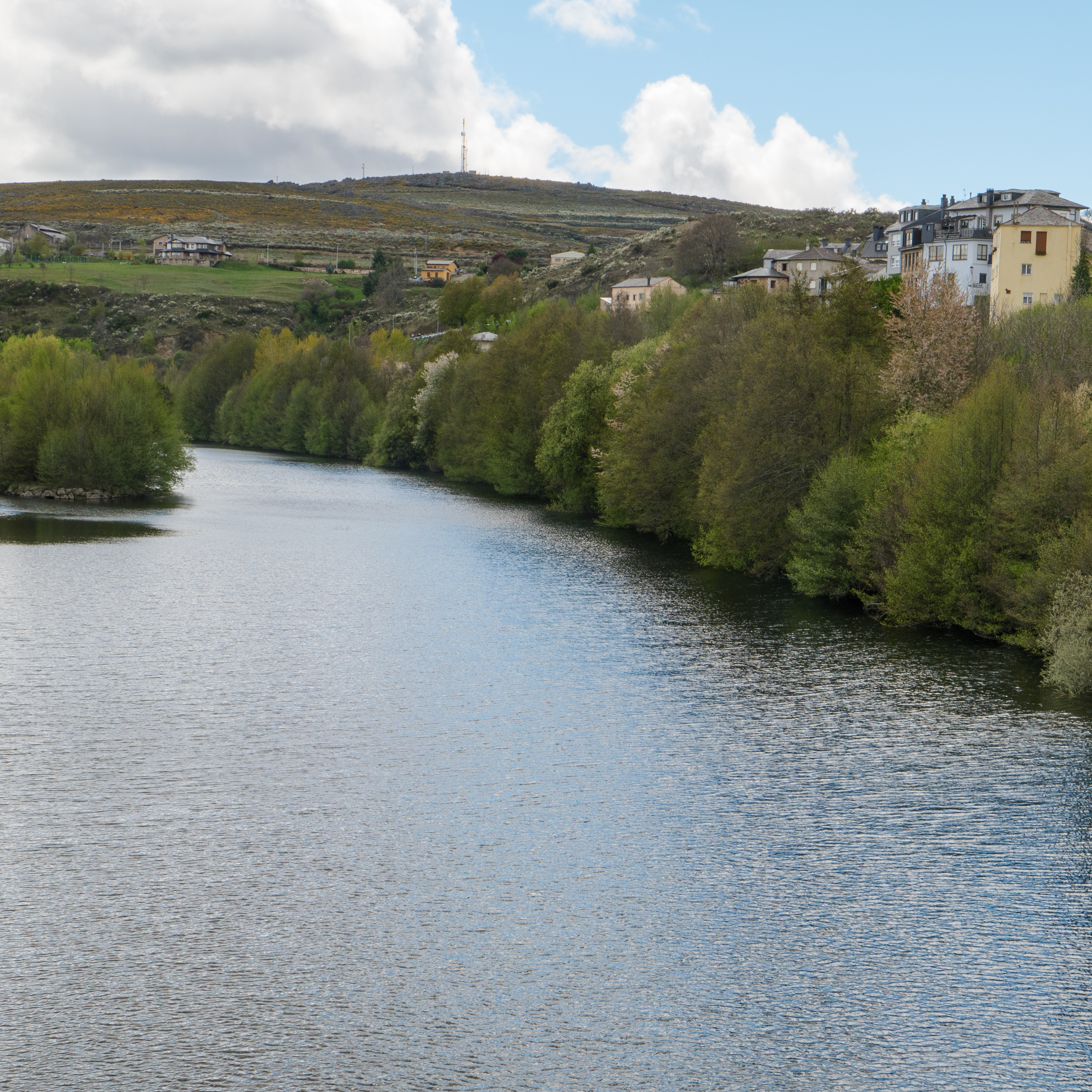 Por qué la lluvia está tiñendo de negro los ríos en las zonas quemadas y cómo complica la recuperación de los bosques