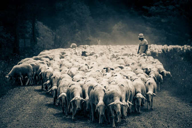 Proyecto "Beep", 2º Capítulo Proyecto "Beep", 2º Capítulo