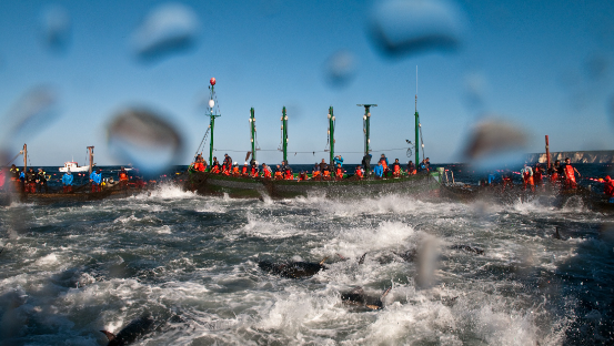 Premio Andalucía a la OPP 78