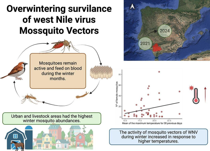 Sergio Magallanes - Estudio virus del Nilo