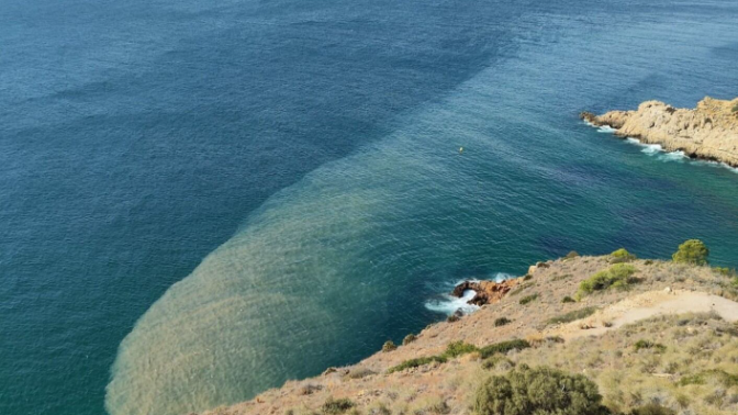 Mayte García (PSPV-PSOE) sobre la "parálisis" de los parques naturales