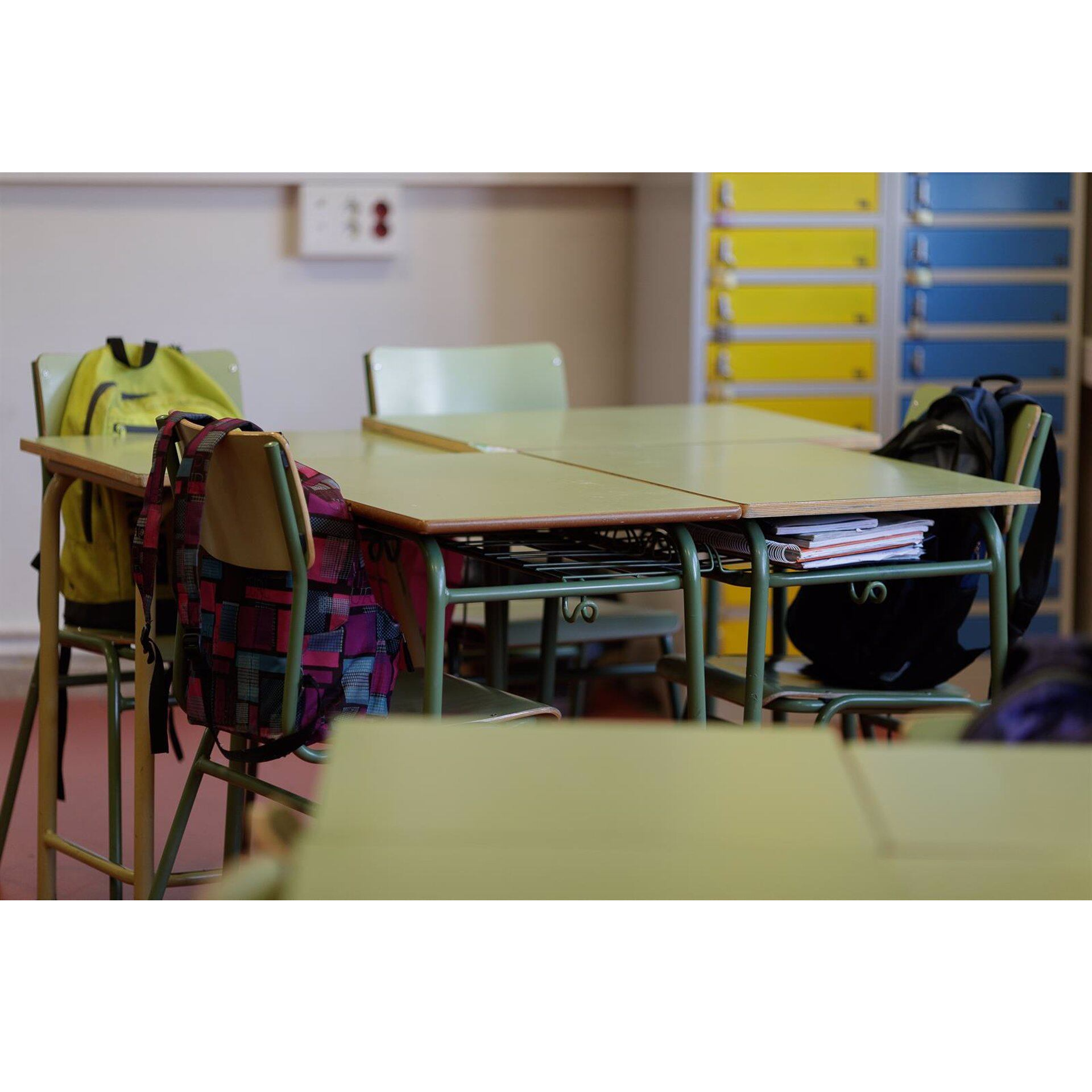 Ander Domblás, director dimisionario del CREENA Ander Domblás, director dimisionario del CREENA