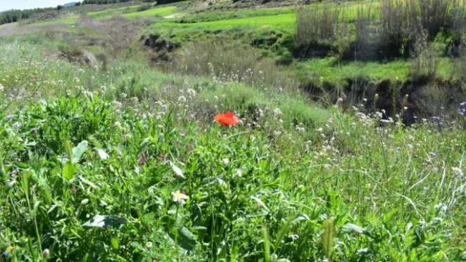 José Baraza, vicepresidente de la Federación de Espartaria