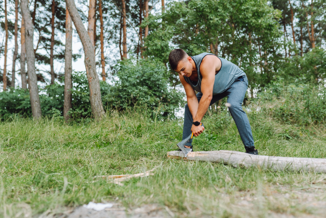 Otro bulo sobre incendios: no permiten cortar leña en el monte Otro bulo sobre incendios: no permiten cortar leña en el monte
