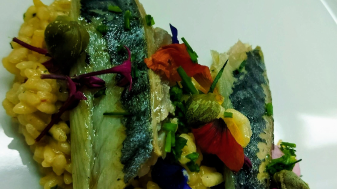 Joan Clement (28/11/2025) Joan Clement (28/11/2025)