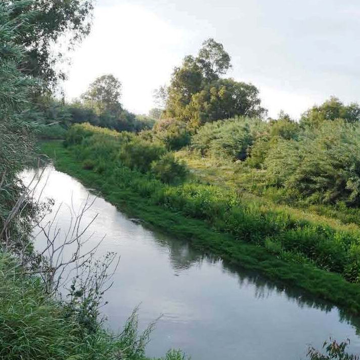 "Avanzamos en el Corredor Verde" F Salado, pte Diputación Málaga