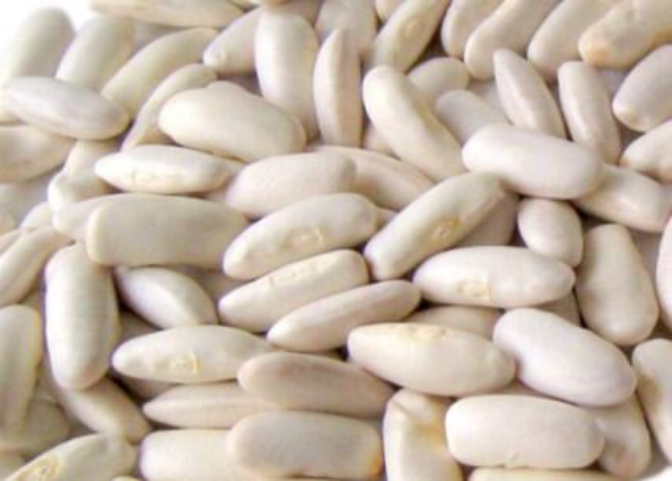 A Mariña participa en un proyecto de creación de experiencias agroturísticas