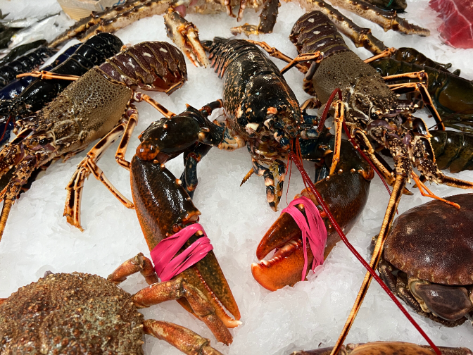 Cómo cocinar el mejor marisco estas Navidades