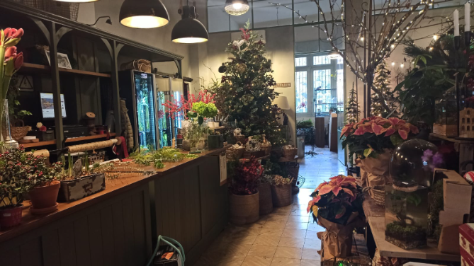 Flor de Saúco, una Navidad elegante y natural Flor de Saúco, una Navidad elegante y natural