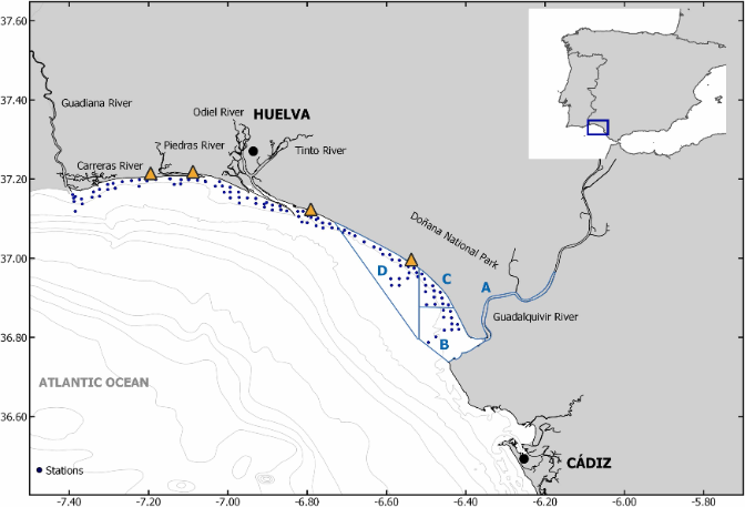 MARINA DELGADO - estudio basal -