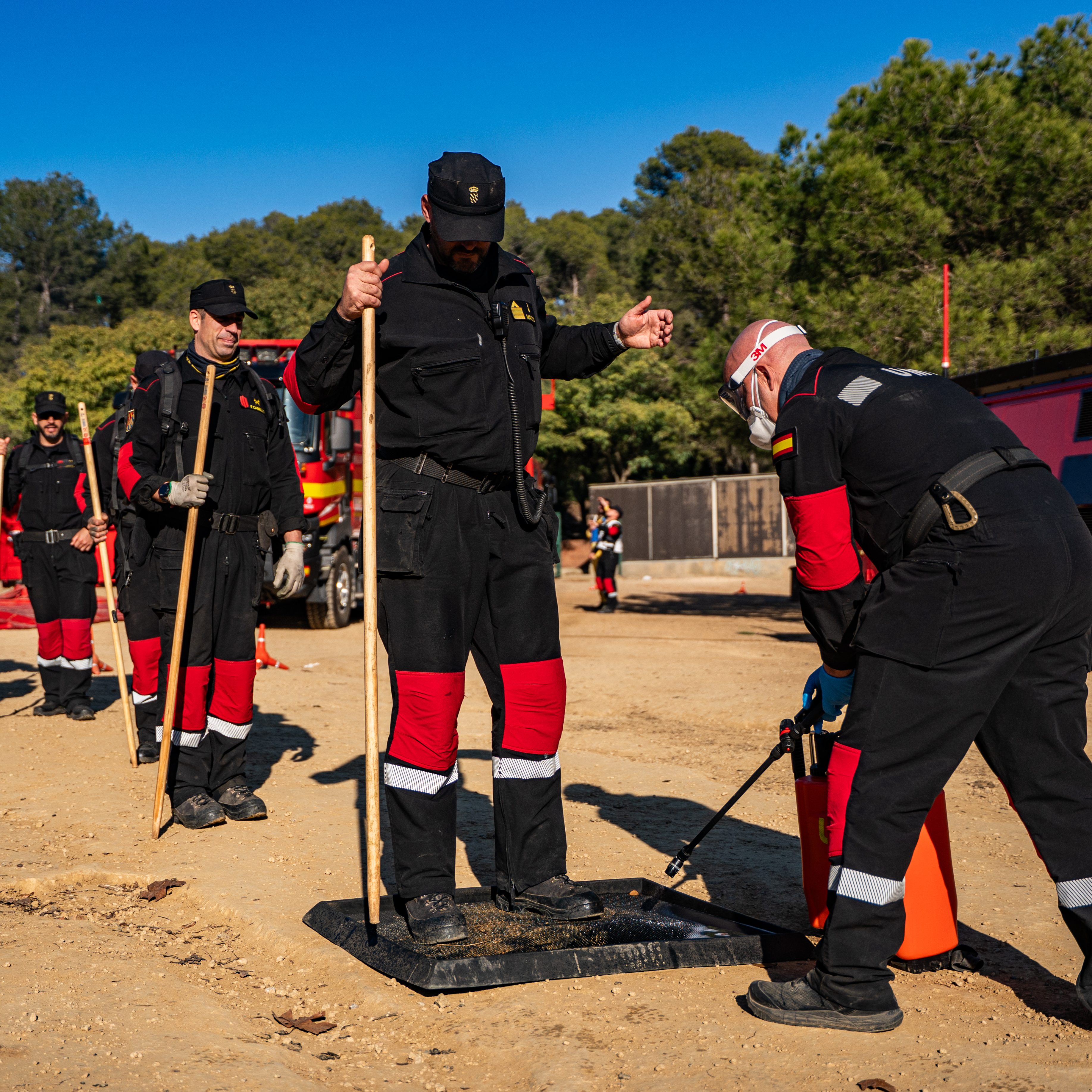Por qué está completamente justificado el nivel de alarma en torno a la peste porcina: "Tiene una mortalidad del 100%"