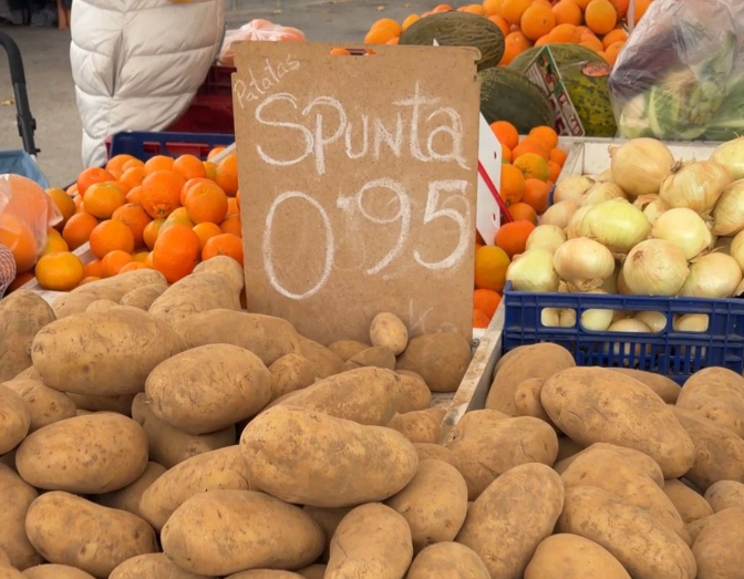 Conexión mercado municipal de Santa María de Gracia