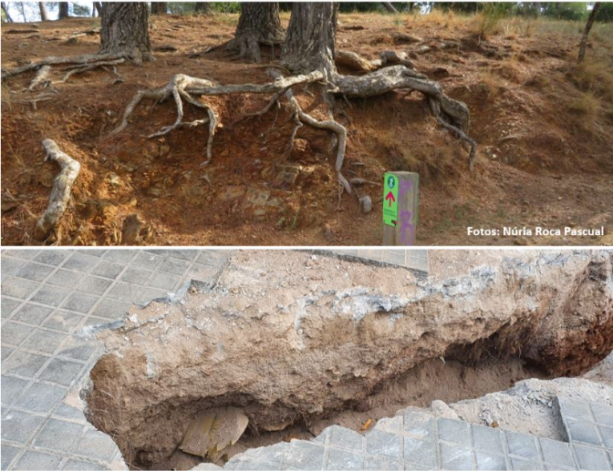 David Badia, profesor del Campus de Huesca