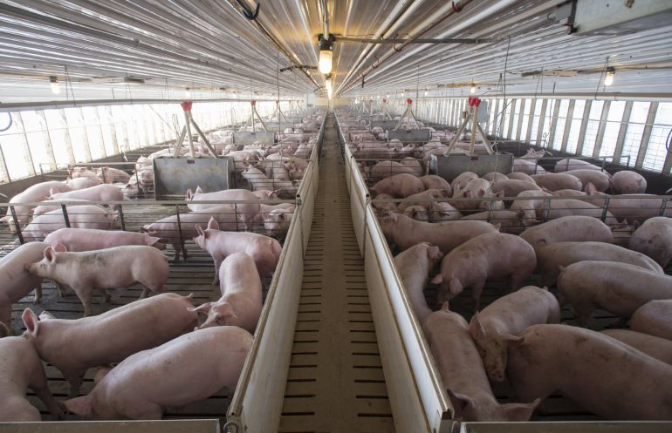 José María Alcubierre, secretario de UAGA en Aragón José María Alcubierre, secretario de UAGA en Aragón